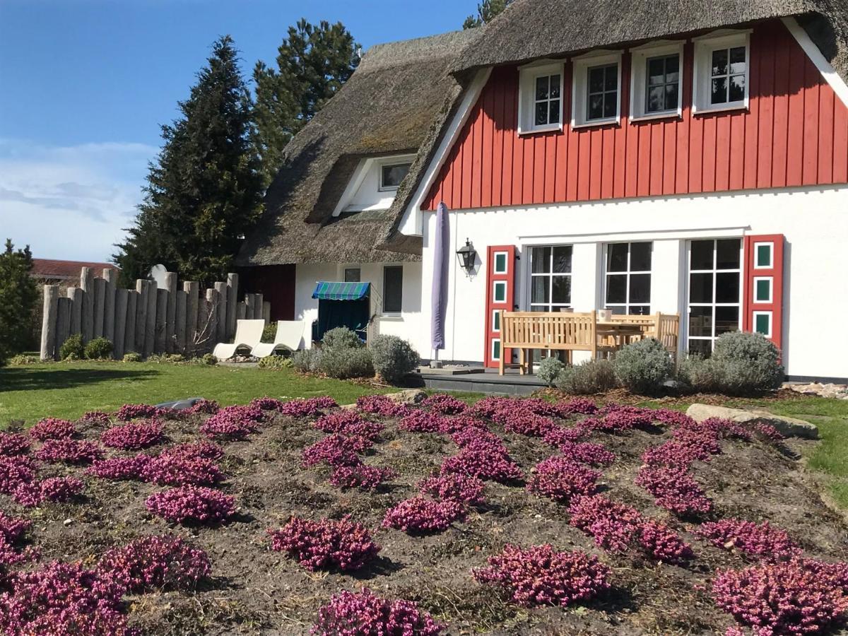 Landhaus Kranichblick Wieck auf dem Darss Dış mekan fotoğraf