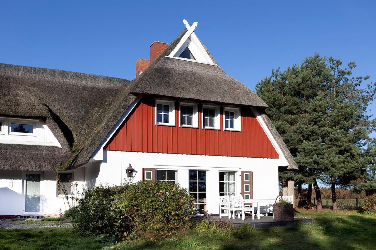 Landhaus Kranichblick Wieck auf dem Darss Dış mekan fotoğraf